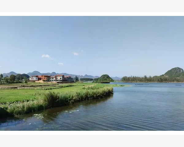 疏肝健脾：解开肝气不滞与脾胃不和的健康之谜